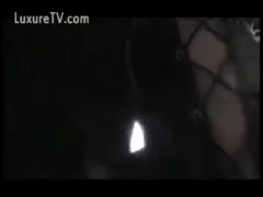 The horse violently copulates the mother, cums in her moist crack, and says, "I'd like to fuck."